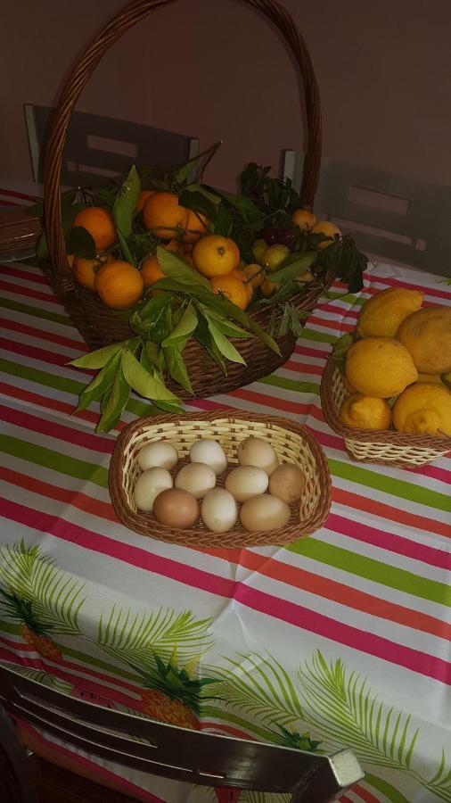 וגה דה סן מטאו Finca Rural Torres Casas 1 Y 4 Bed & Breakfast מראה חיצוני תמונה