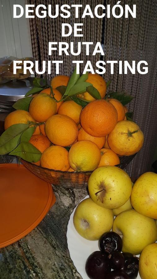 וגה דה סן מטאו Finca Rural Torres Casas 1 Y 4 Bed & Breakfast מראה חיצוני תמונה