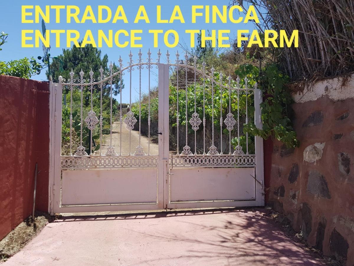 וגה דה סן מטאו Finca Rural Torres Casas 1 Y 4 Bed & Breakfast מראה חיצוני תמונה