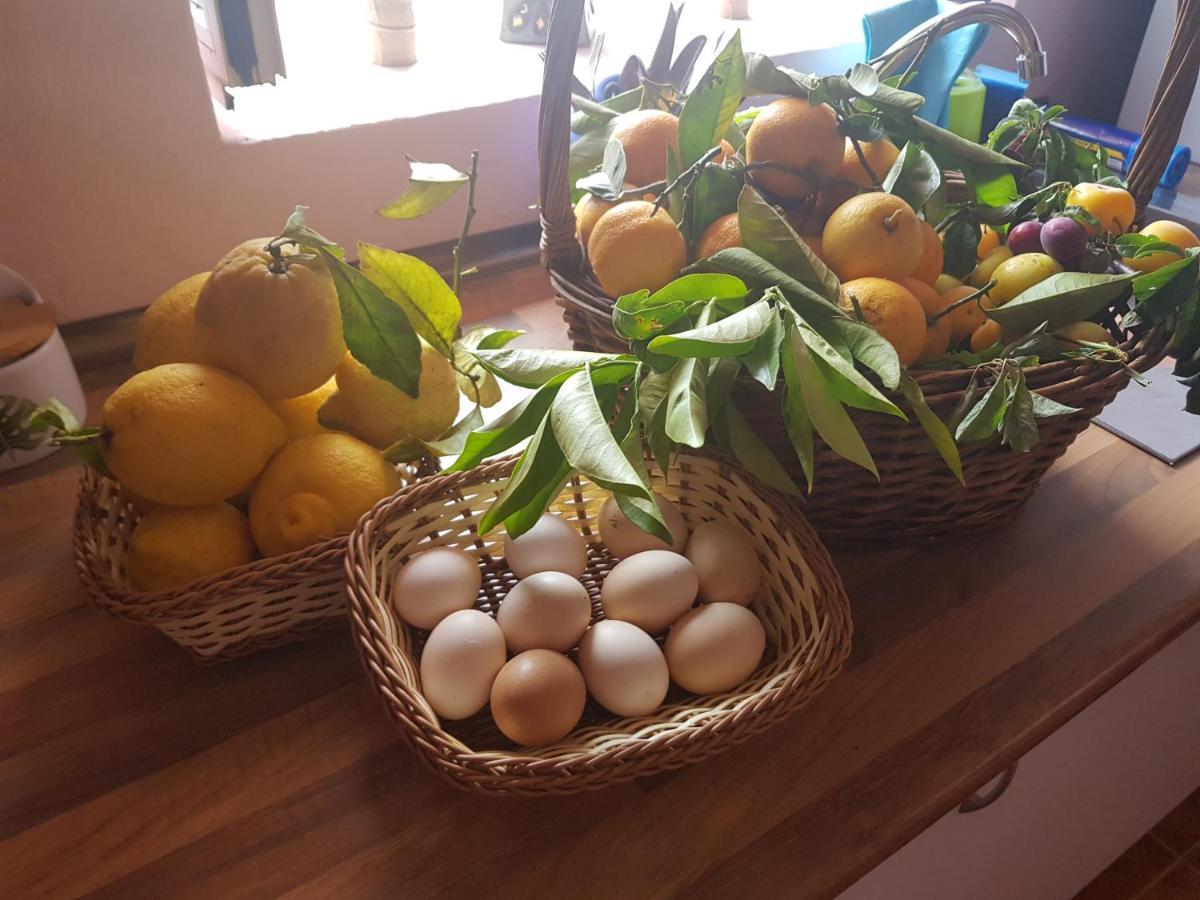 וגה דה סן מטאו Finca Rural Torres Casas 1 Y 4 Bed & Breakfast מראה חיצוני תמונה