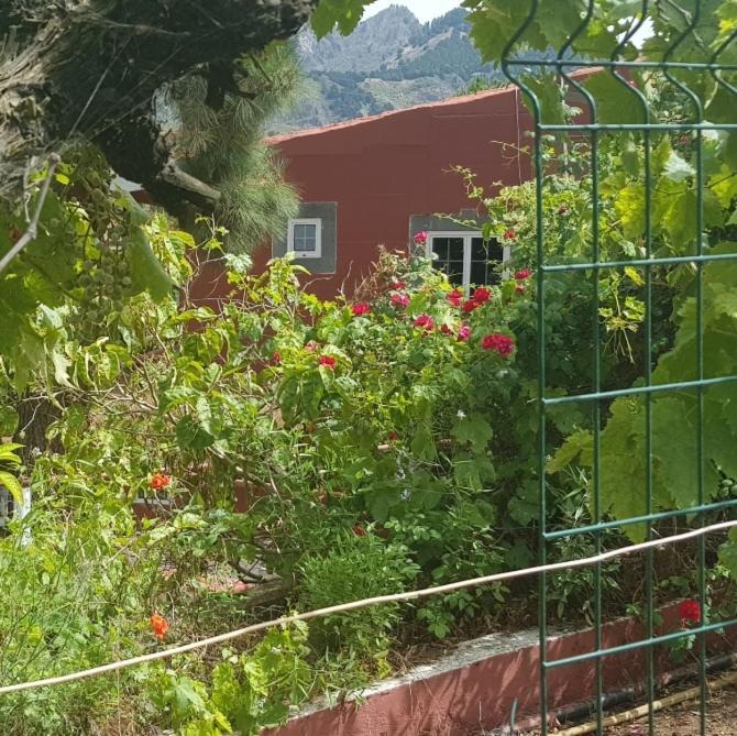 וגה דה סן מטאו Finca Rural Torres Casas 1 Y 4 Bed & Breakfast מראה חיצוני תמונה