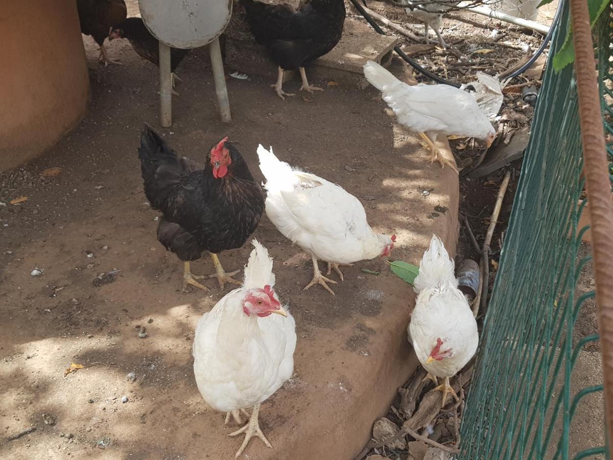 וגה דה סן מטאו Finca Rural Torres Casas 1 Y 4 Bed & Breakfast מראה חיצוני תמונה