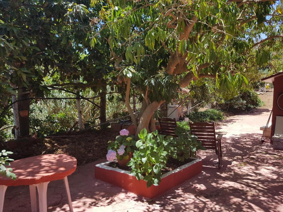 וגה דה סן מטאו Finca Rural Torres Casas 1 Y 4 Bed & Breakfast חדר תמונה